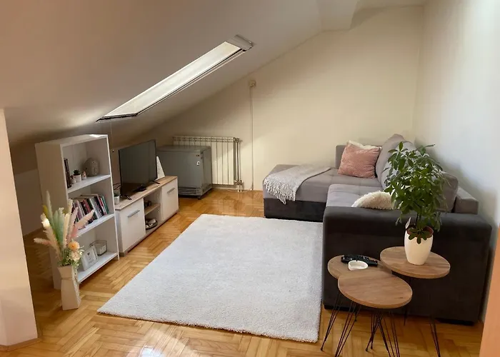 公寓 22 22 斯雷姆斯卡米特罗维察