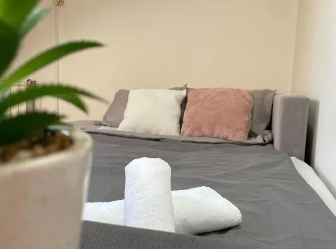 22 22 公寓 斯雷姆斯卡米特罗维察